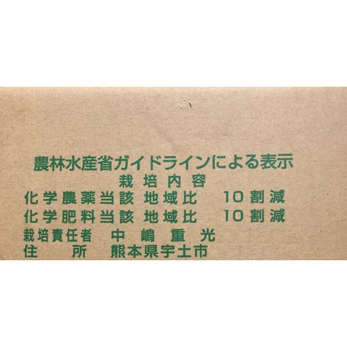 熊本県産・国産ネーブルオレンジ（訳あり品・規格外・Ｂ品・サイズ混合）５ｋｇ【送料無料】網田ネーブル |  | 10