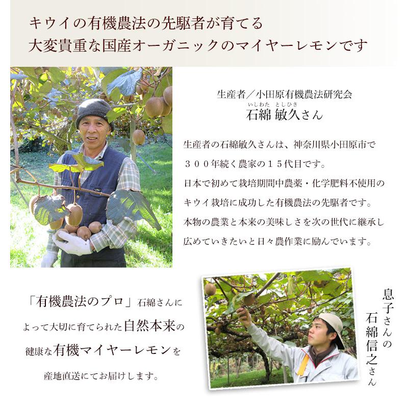 神奈川県産　有機ＪＡＳ認定　マイヤーレモン（レモンライム）３ｋｇ【送料無料】自然園いしわた農場・小田原・湘南プライム・オーガニック・Organic | オーガニック | 01
