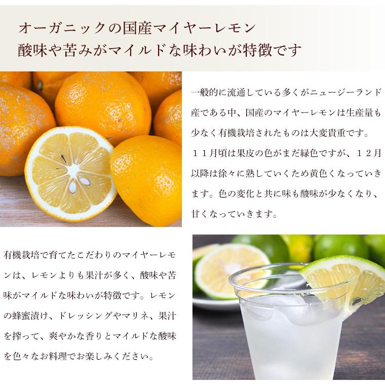 神奈川県産　有機ＪＡＳ認定　マイヤーレモン（レモンライム）３ｋｇ【送料無料】自然園いしわた農場・小田原・湘南プライム・オーガニック・Organic | オーガニック | 02