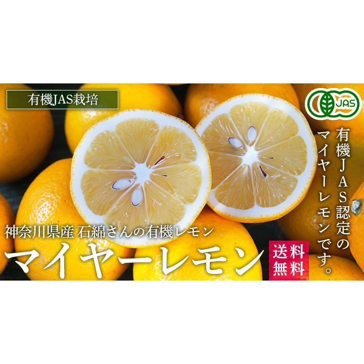 神奈川県産　有機ＪＡＳ認定　マイヤーレモン（レモンライム）３ｋｇ【送料無料】自然園いしわた農場・小田原・湘南プライム・オーガニック・Organic | オーガニック | 03
