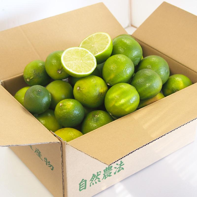 神奈川県産　有機ＪＡＳ認定　マイヤーレモン（レモンライム）３ｋｇ【送料無料】自然園いしわた農場・小田原・湘南プライム・オーガニック・Organic | オーガニック | 04