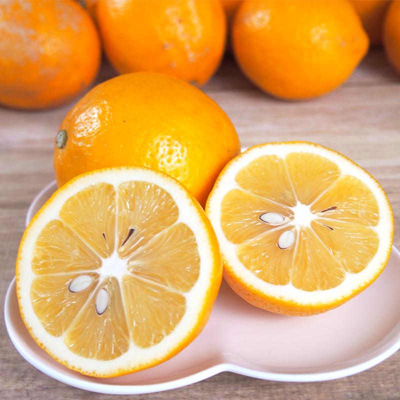 神奈川県産　有機ＪＡＳ認定　マイヤーレモン（レモンライム）３ｋｇ【送料無料】自然園いしわた農場・小田原・湘南プライム・オーガニック・Organic | オーガニック | 06