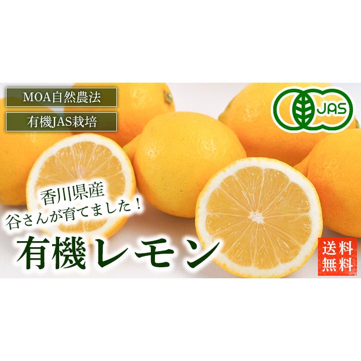 香川県産　有機レモン　５ｋｇ　送料無料　有機JAS　オーガニック　MOA自然農法　国産　檸檬　有機栽培 |  | 01