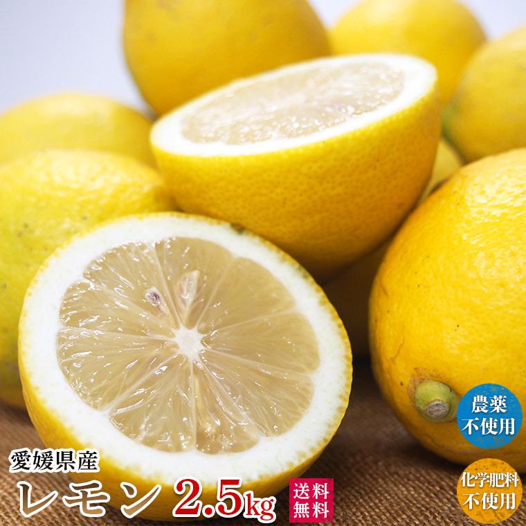 自然農法レモン2.5kg・愛媛産・国産・A品 送料無料 : 健康 自然農法レモン2.5kg・愛媛産・国産・A品 送料無料 : 健康
