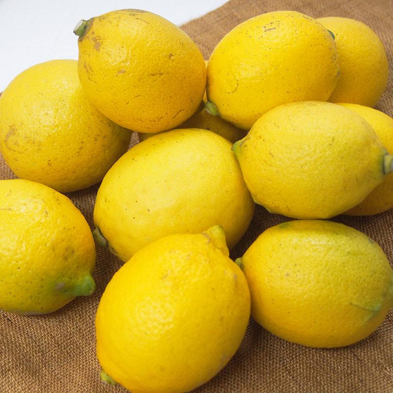 自然農法レモン５ｋｇ・愛媛産・国産・Ａ品　送料無料 |  | 05