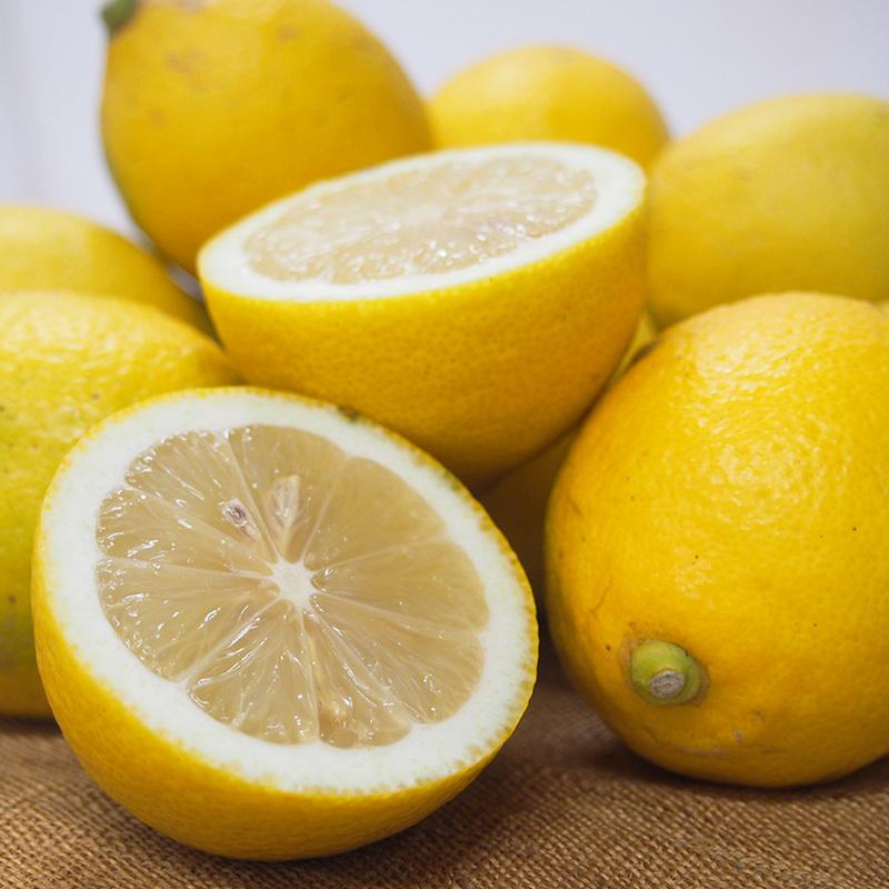 自然農法レモン５ｋｇ・愛媛産・国産・Ａ品　送料無料 |  | 04