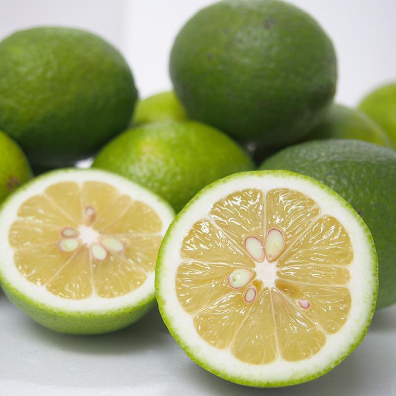 レモン１０ｋｇ　愛媛産　Ａ品・サイズ混合　国産　栽培期間中農薬・化学肥料・除草剤・防腐剤不使用　ノーワックス　送料無料 |  | 06