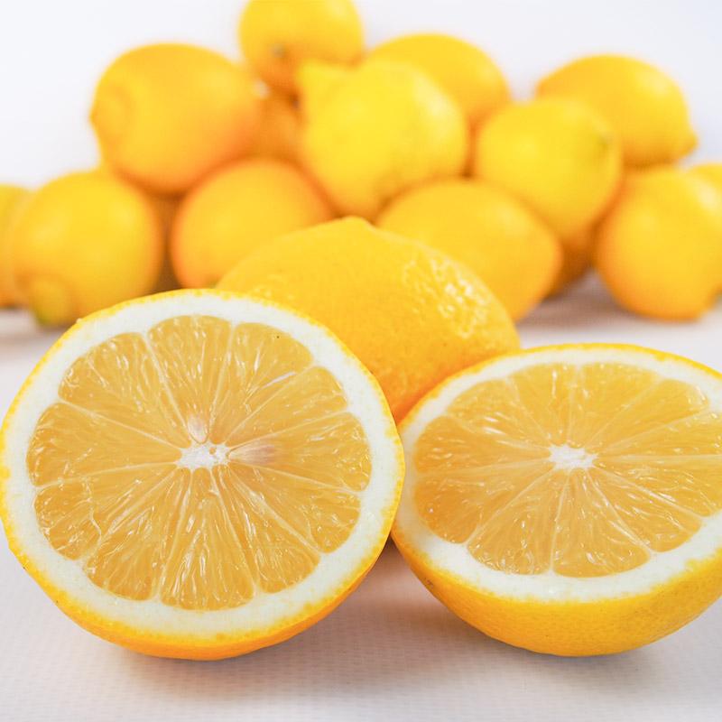 香川県産　有機レモン　１０ｋｇ　送料無料　有機JAS　オーガニック　MOA自然農法　国産　檸檬　有機栽培 |  | 05