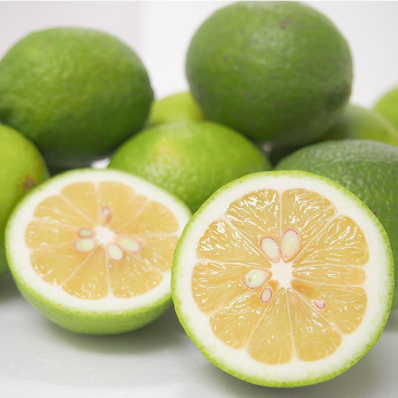 香川県産　有機レモン　２．５ｋｇ（Ｓ〜２Ｌサイズ混合）送料無料　有機JAS　オーガニック　MOA自然農法　国産　檸檬　有機栽培 |  | 06