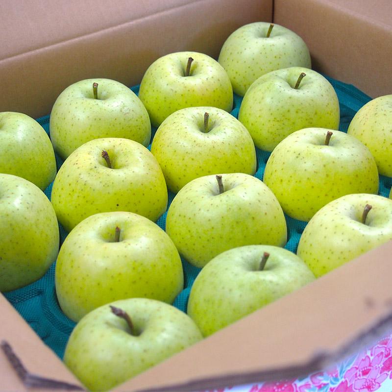 青森県産　阿部さんの特別栽培　黄りんご　Ｂ品（ご家庭用）　１０ｋｇ【送料無料】減農薬栽培（50％減）ネオニコフリー |  | 05