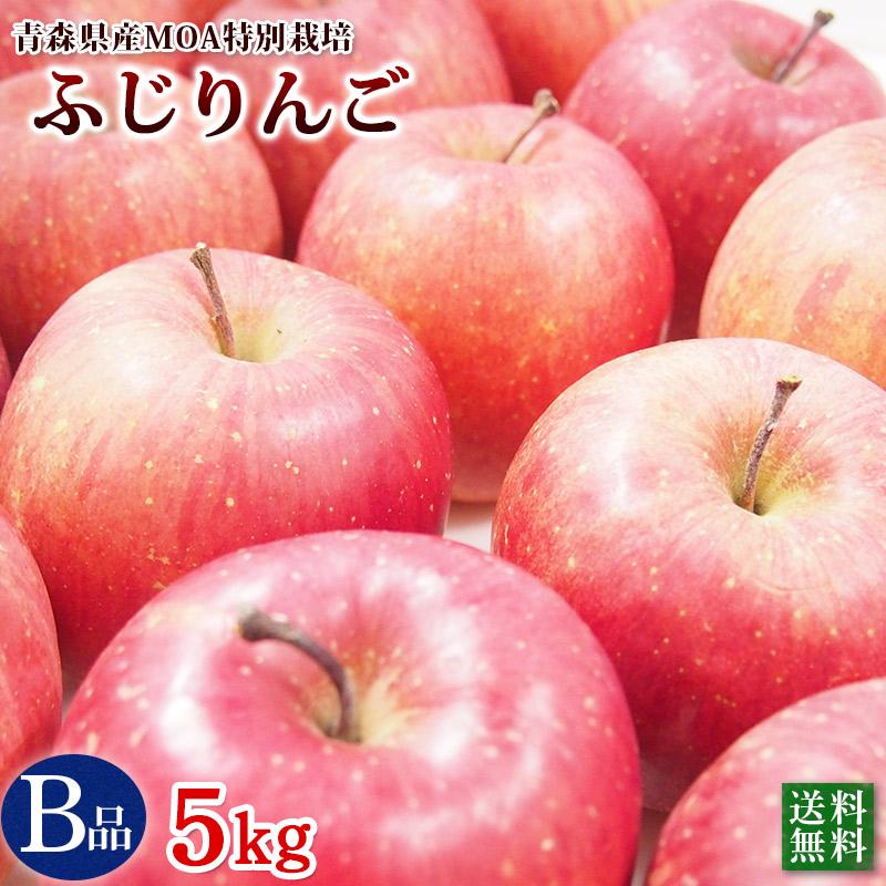 青森県産　阿部さんの特別栽培　ふじりんご　Ｂ品（ご家庭用）　５ｋｇ【送料無料】減農薬栽培（50％減）ネオニコフリー | 