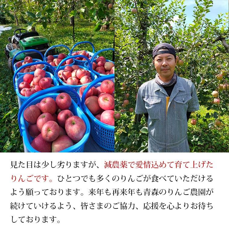 青森県産　阿部さんの特別栽培　ふじりんご　Ｂ品（ご家庭用）　５ｋｇ【送料無料】減農薬栽培（50％減）ネオニコフリー |  | 04