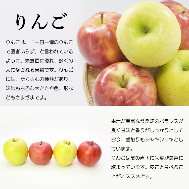 青森県産　阿部さんの特別栽培　ふじりんご　Ｂ品（ご家庭用）　５ｋｇ【送料無料】減農薬栽培（50％減）ネオニコフリー |  | 03