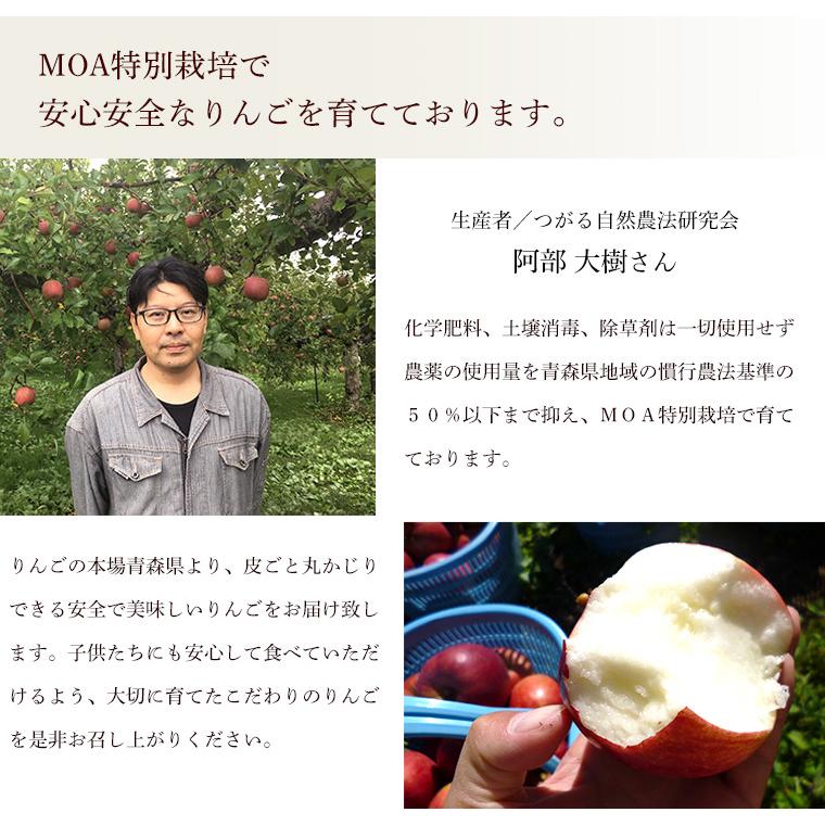 青森県産　阿部さんの特別栽培　ふじりんご　Ｂ品（ご家庭用）　１０ｋｇ【送料無料】減農薬栽培（50％減）ネオニコフリー |  | 02