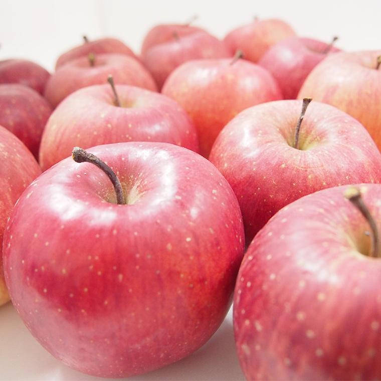 青森県産　阿部さんの特別栽培　ふじりんご　Ｂ品（ご家庭用）　１０ｋｇ【送料無料】減農薬栽培（50％減）ネオニコフリー |  | 05
