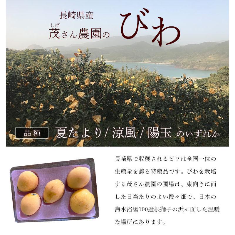 長崎県産　農薬・化学肥料不使用　びわ（夏たより・涼風・陽玉のいずれか）１ｋｇ【秀品】自然農法【送料無料】無農薬・クール便 |  | 01