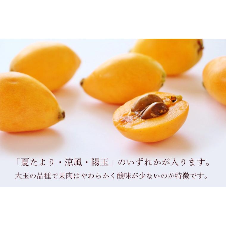 長崎県産　農薬・化学肥料不使用　びわ（夏たより・涼風・陽玉のいずれか）１ｋｇ【秀品】自然農法【送料無料】無農薬・クール便 |  | 02