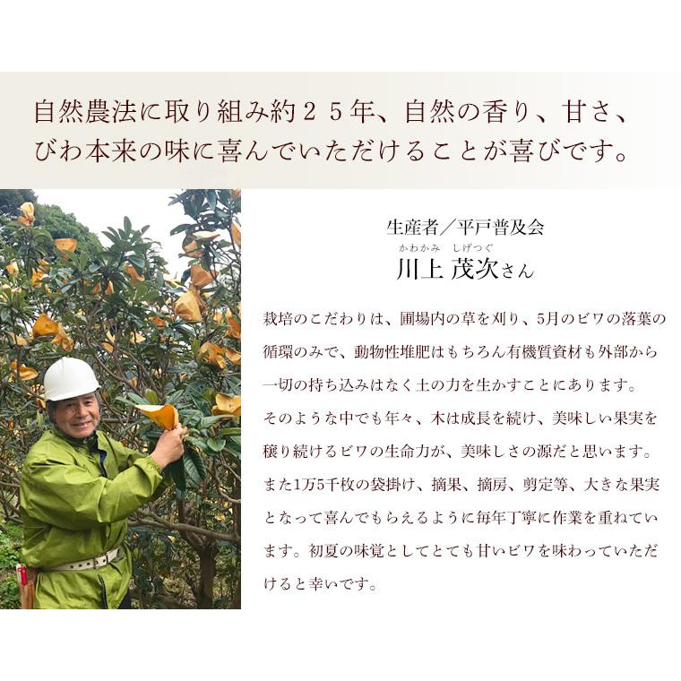 長崎県産　農薬・化学肥料不使用　びわ（夏たより・涼風・陽玉のいずれか）１ｋｇ【秀品】自然農法【送料無料】無農薬・クール便 |  | 03