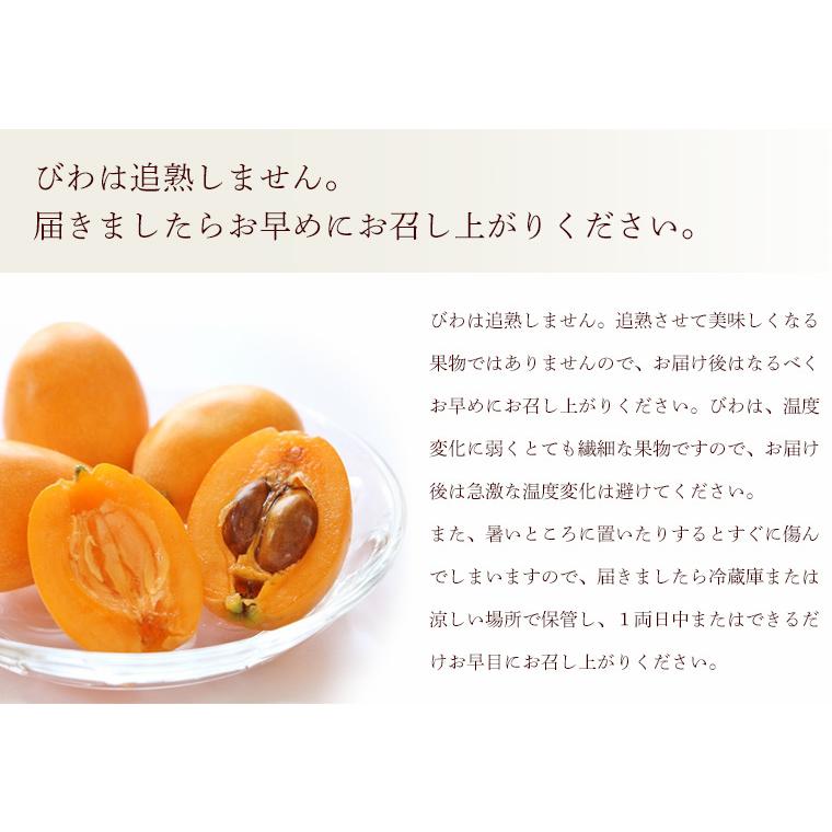 長崎県産　農薬・化学肥料不使用　びわ（夏たより・涼風・陽玉のいずれか）１ｋｇ【秀品】自然農法【送料無料】無農薬・クール便 |  | 04