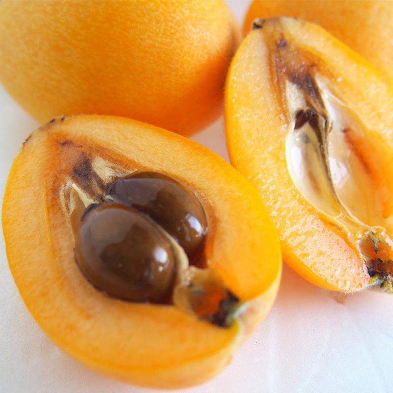 長崎県産　農薬・化学肥料不使用　びわ（夏たより・涼風・陽玉のいずれか）１ｋｇ【秀品】自然農法【送料無料】無農薬・クール便 |  | 05