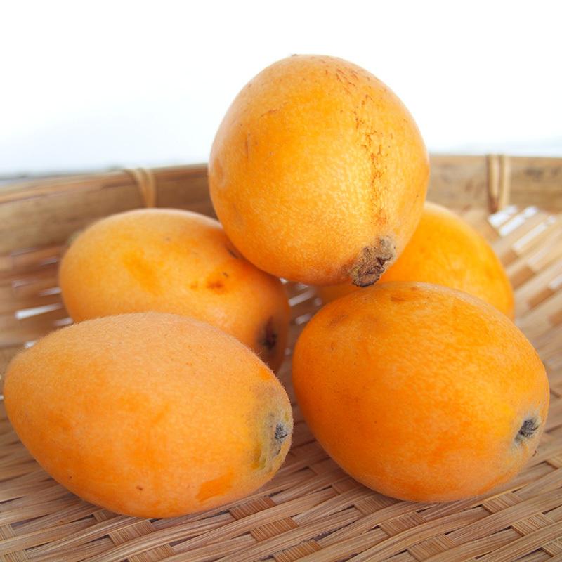 長崎県産　農薬・化学肥料不使用　びわ（夏たより・涼風・陽玉のいずれか）１ｋｇ【秀品】自然農法【送料無料】無農薬・クール便 |  | 06