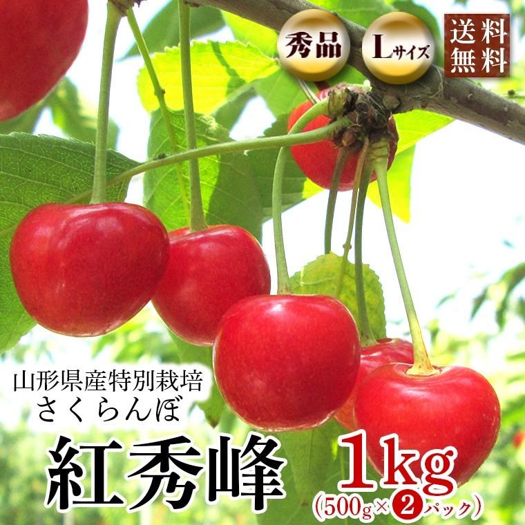 山形県産さくらんぼ　紅秀峰（べにしゅうほう）秀品Ｌサイズ　１ｋｇ（５００ｇ×２パック）【送料無料・クール冷蔵便】特別栽培・減農薬　ネオニコフリー