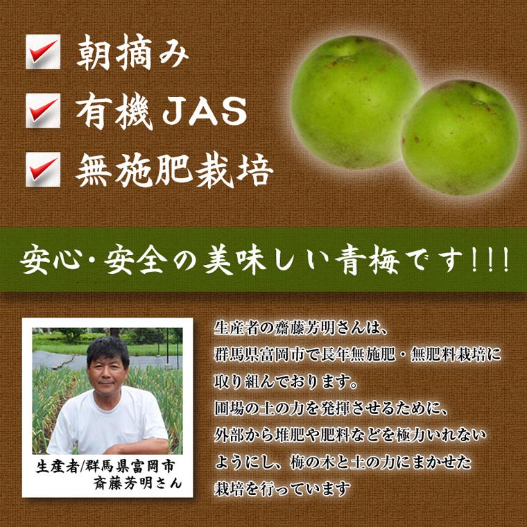 有機青梅【梅干し用】１０ｋｇ・群馬県産　有機ＪＡＳ 有機栽培 オーガニック【送料無料】クール便｜moa｜04