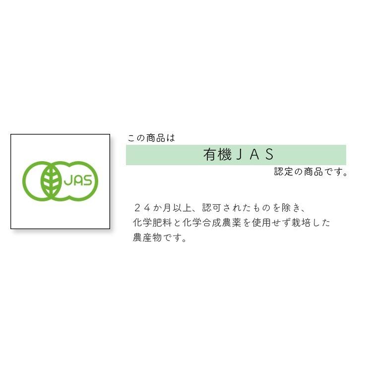 有機青梅・生梅５ｋｇ【梅干し用・群馬県産】オーガニック有機栽培【送料無料】クール便｜moa｜07