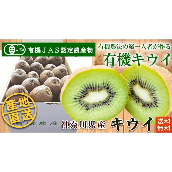 有機キウイフルーツ３ｋｇ神奈川県小田原産【送料無料　オーガニック　有機ＪＡＳ】 | オーガニック | 01