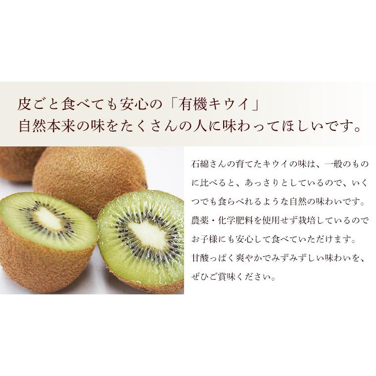 有機キウイフルーツ３ｋｇ神奈川県小田原産【送料無料　オーガニック　有機ＪＡＳ】 | オーガニック | 02