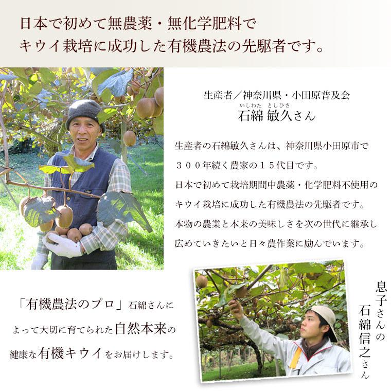 有機キウイフルーツ３ｋｇ神奈川県小田原産【送料無料　オーガニック　有機ＪＡＳ】 | オーガニック | 03