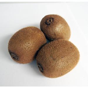 有機キウイフルーツ３ｋｇ神奈川県小田原産【送料無料　オーガニック　有機ＪＡＳ】 | オーガニック | 05