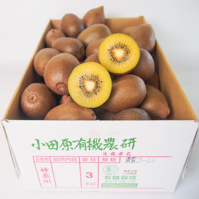 有機キウイフルーツ　東京ゴールド　３ｋｇ　Ｓ〜Ｍサイズ　神奈川県小田原産【送料無料　オーガニック　有機ＪＡＳ】 | オーガニック | 10