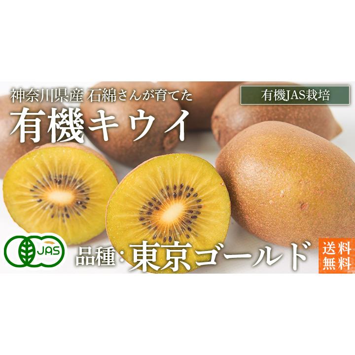 有機キウイフルーツ　東京ゴールド　３ｋｇ　Ｓ〜Ｍサイズ　神奈川県小田原産【送料無料　オーガニック　有機ＪＡＳ】 | オーガニック | 01