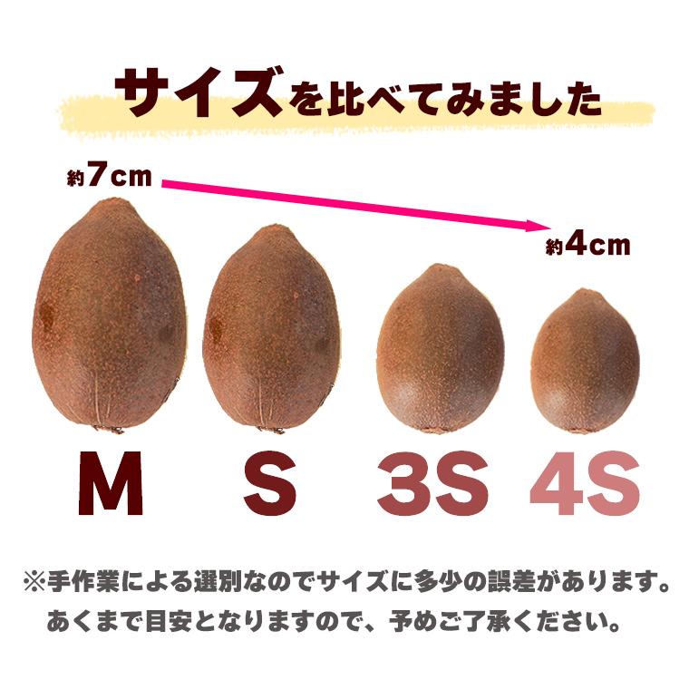 有機キウイフルーツ　東京ゴールド　３ｋｇ　Ｓ〜Ｍサイズ　神奈川県小田原産【送料無料　オーガニック　有機ＪＡＳ】 | オーガニック | 03