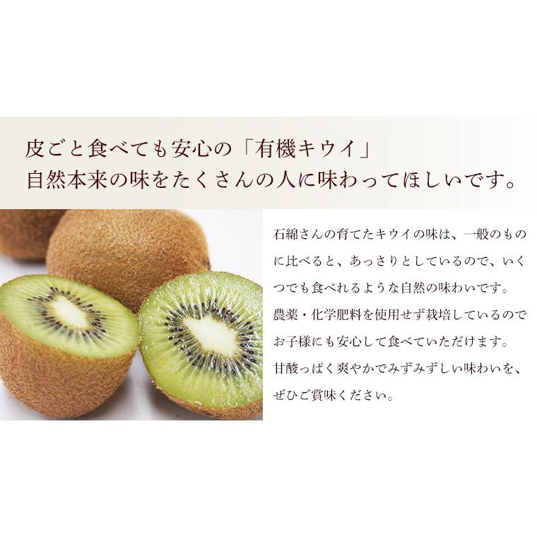有機キウイフルーツ　東京ゴールド　３ｋｇ　Ｓ〜Ｍサイズ　神奈川県小田原産【送料無料　オーガニック　有機ＪＡＳ】 | オーガニック | 05