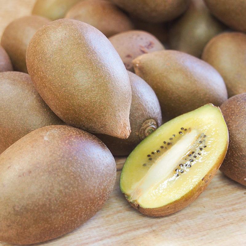 有機キウイフルーツ　東京ゴールド　３ｋｇ　Ｓ〜Ｍサイズ　神奈川県小田原産【送料無料　オーガニック　有機ＪＡＳ】 | オーガニック | 06