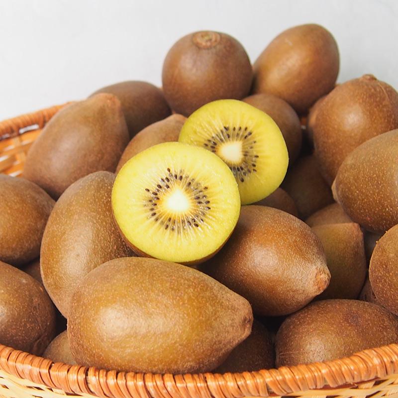 有機キウイフルーツ　東京ゴールド　３ｋｇ　Ｓ〜Ｍサイズ　神奈川県小田原産【送料無料　オーガニック　有機ＪＡＳ】 | オーガニック | 07
