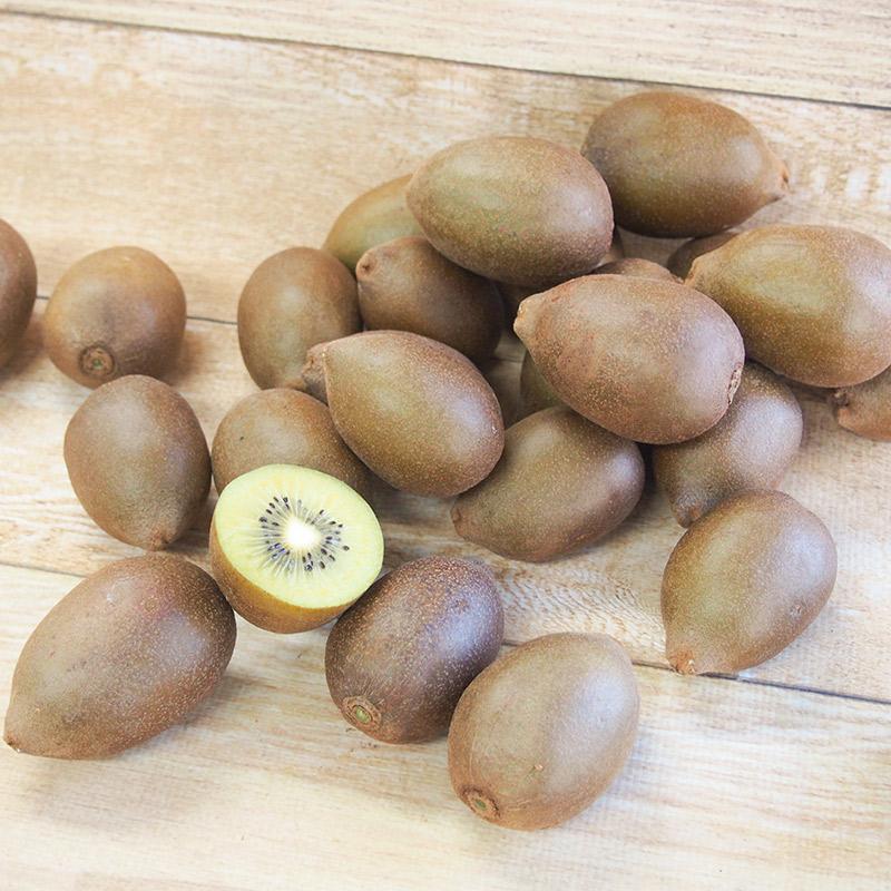 有機キウイフルーツ　東京ゴールド　３ｋｇ　Ｓ〜Ｍサイズ　神奈川県小田原産【送料無料　オーガニック　有機ＪＡＳ】 | オーガニック | 08