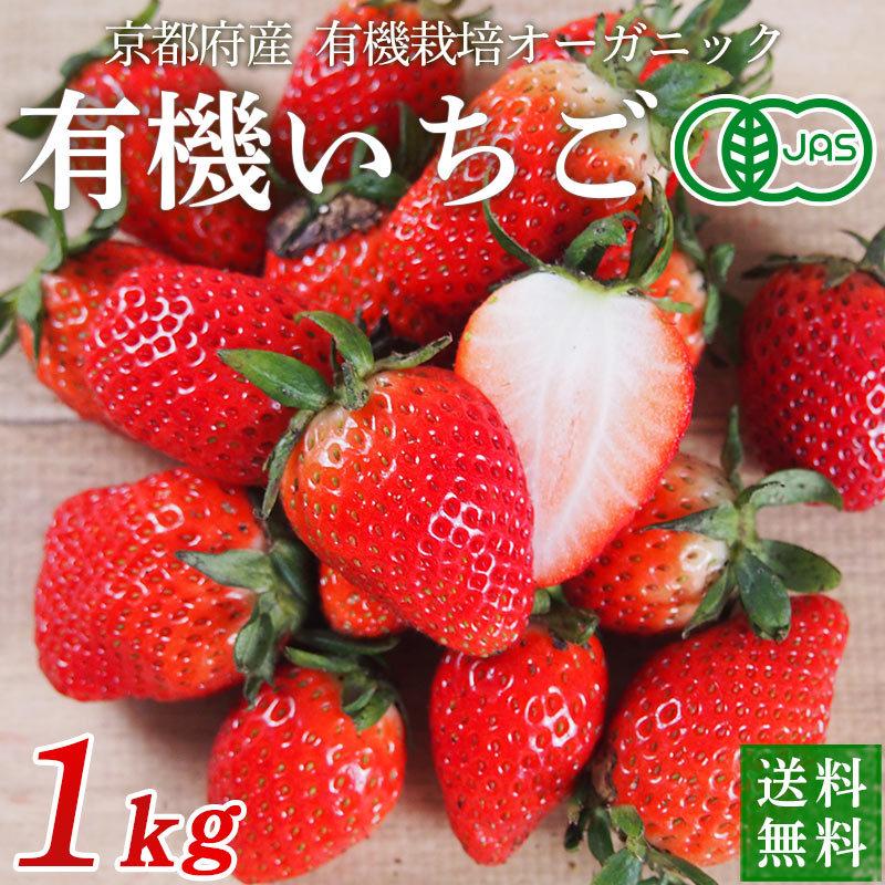 京都府産　オーガニック　有機いちご　１ｋｇ【秀品】有機JAS・京都八幡産イチゴ【送料無料】＜クール冷蔵便＞ | オーガニック
