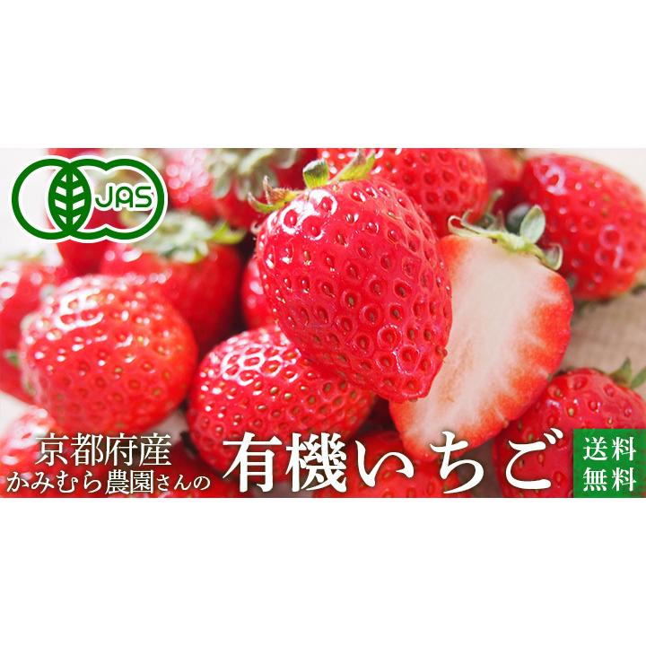 京都府産　オーガニック　有機いちご　１ｋｇ【秀品】有機JAS・京都八幡産イチゴ【送料無料】＜クール冷蔵便＞ | オーガニック | 01