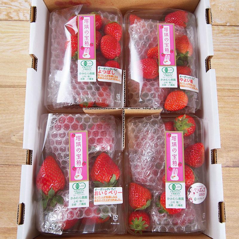 京都府産　オーガニック　有機いちご　１ｋｇ【秀品】有機JAS・京都八幡産イチゴ【送料無料】＜クール冷蔵便＞ | オーガニック | 07
