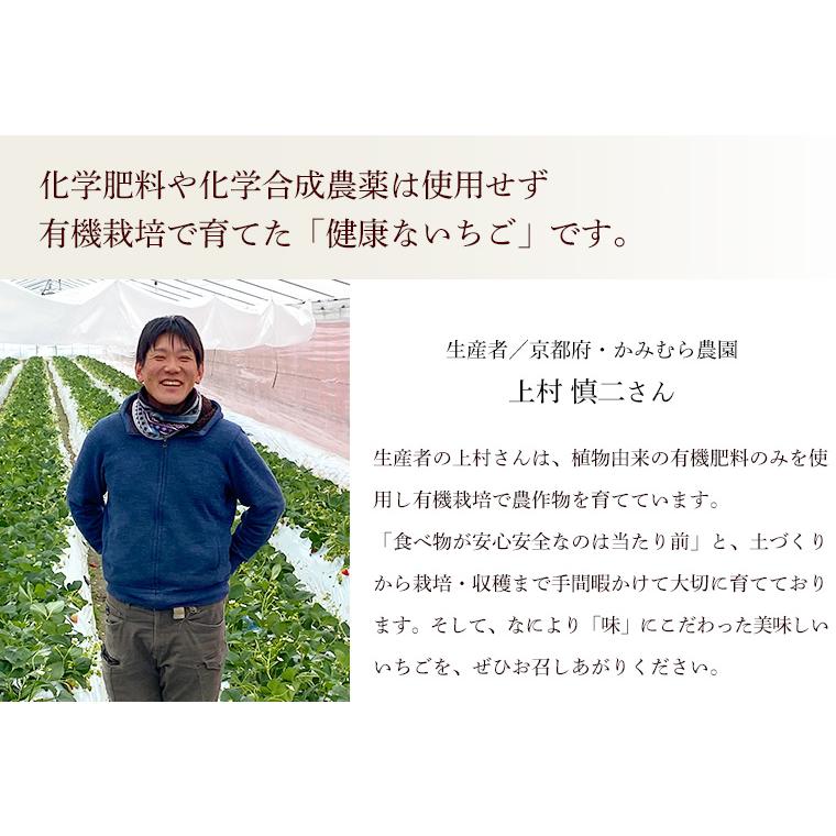 京都府産　オーガニック　有機いちご　１ｋｇ【秀品】有機JAS・京都八幡産イチゴ【送料無料】＜クール冷蔵便＞ | オーガニック | 03