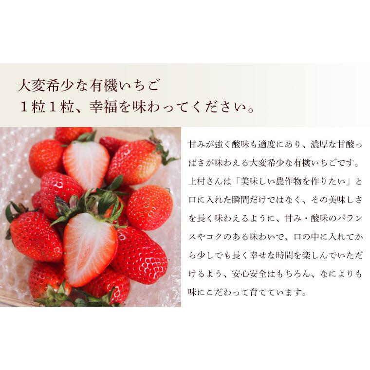 京都府産　オーガニック　有機いちご　１ｋｇ【秀品】有機JAS・京都八幡産イチゴ【送料無料】＜クール冷蔵便＞ | オーガニック | 04