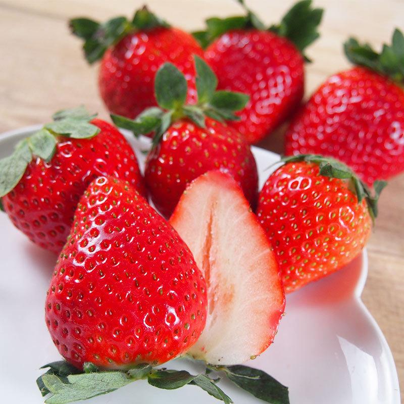 京都府産　オーガニック　有機いちご　１ｋｇ【秀品】有機JAS・京都八幡産イチゴ【送料無料】＜クール冷蔵便＞ | オーガニック | 05