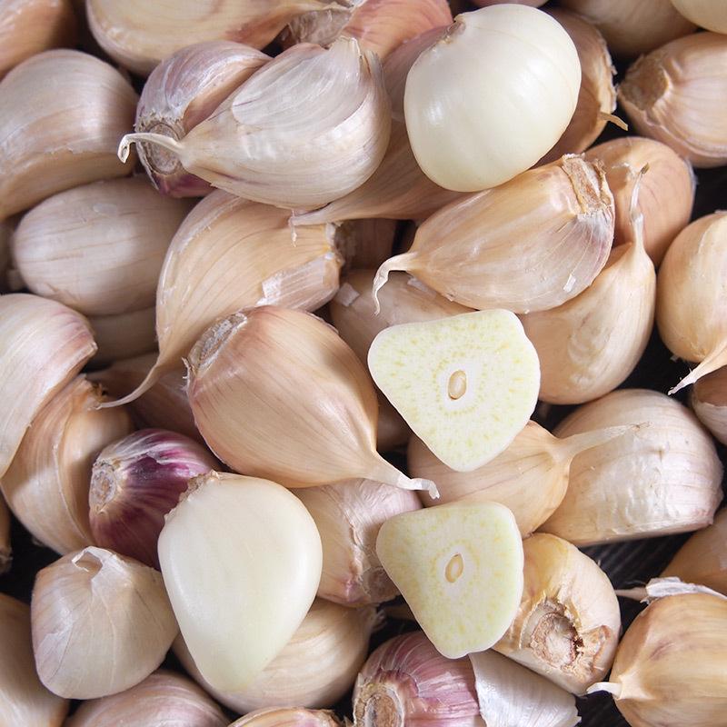 オーガニック青森県田子町産　有機にんにく　バラ詰め　１ｋｇ【送料無料】お買得・ニンニク・有機栽培・無農薬・無化学肥料・Organic・garlic |  | 04