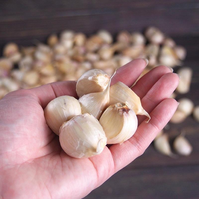 オーガニック青森県田子町産　有機にんにく　バラ詰め　１ｋｇ【送料無料】お買得・ニンニク・有機栽培・無農薬・無化学肥料・Organic・garlic |  | 05