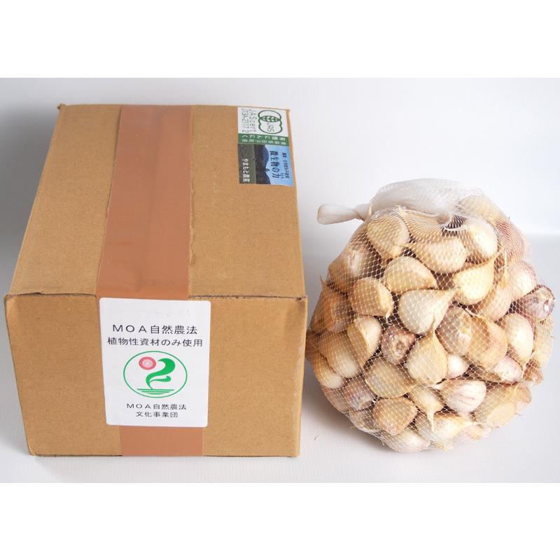 オーガニック青森県田子町産　有機にんにく　バラ詰め　２ｋｇ【送料無料】お買得・ニンニク・有機栽培・無農薬・無化学肥料・Organic・garlic |  | 07