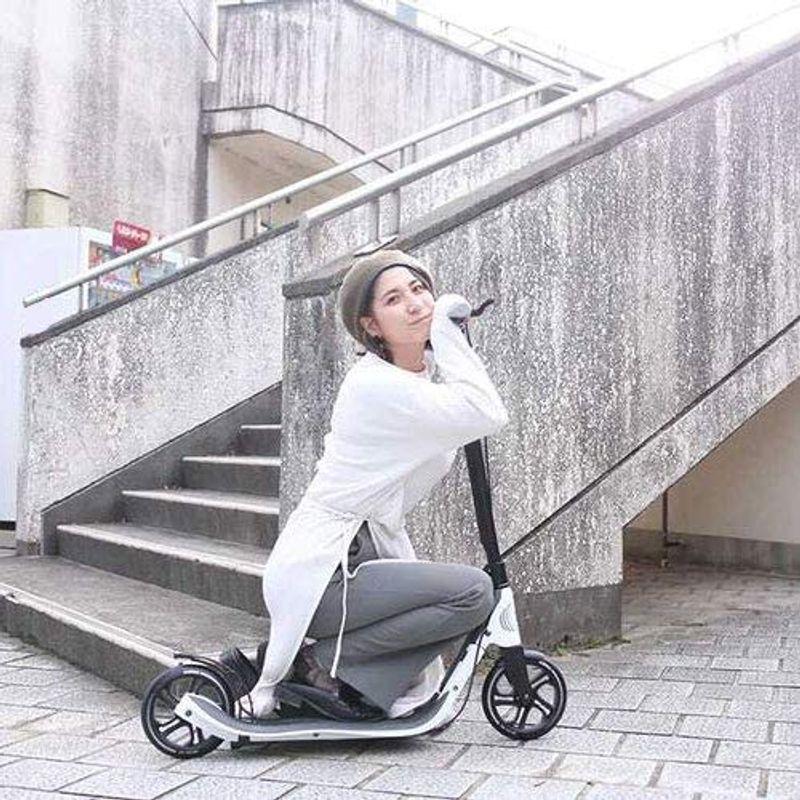 GLOBBER グロッバー キックボード 大人用 ハンドブレーキ付き 持ち運び便利 折り畳み式 家族で遊ぶ キック スクーター ワンNL20 グロッバー キックボード 大人用 ハンドブレーキ付き 持ち運び便利 折り畳み式 家族で遊ぶ キック スクーター ワンNL20