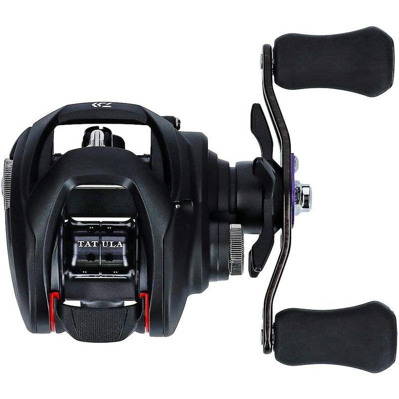 ダイワ(DAIWA) ベイトリール 19 タトゥーラ TW 100XH (2019モデル) DAIWA ベイトリール タトゥーラ TW 100XH 2019モデル